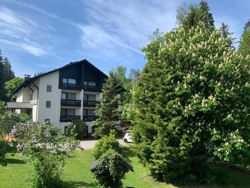 Landhaus Am Forst Bad Alexandersbad Buitenkant foto