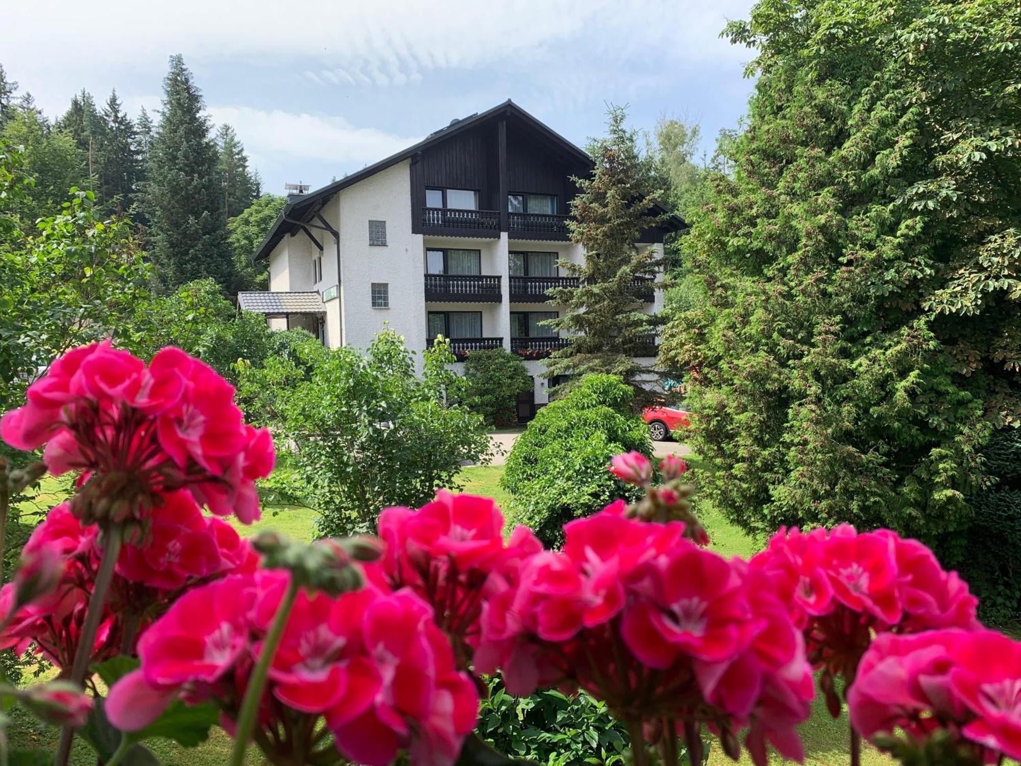 Landhaus Am Forst Bad Alexandersbad Buitenkant foto