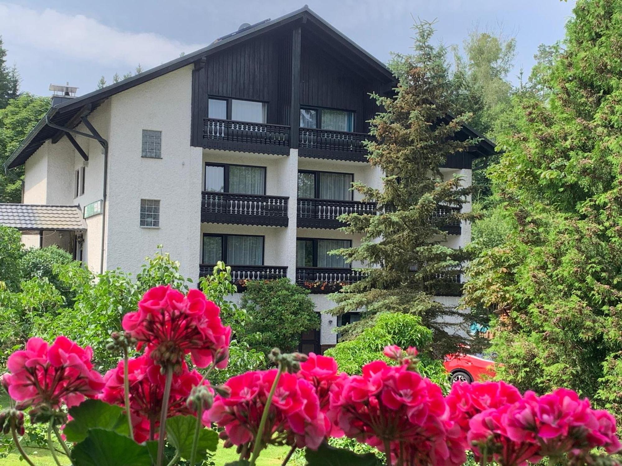 Landhaus Am Forst Bad Alexandersbad Buitenkant foto